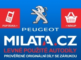 Foto #18531 Brzdové destičky Peugeot 309 - použitý díl - /files/eshop/images/product_3506-image_18531-medium.jpg